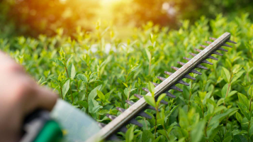 Hedge Clippers